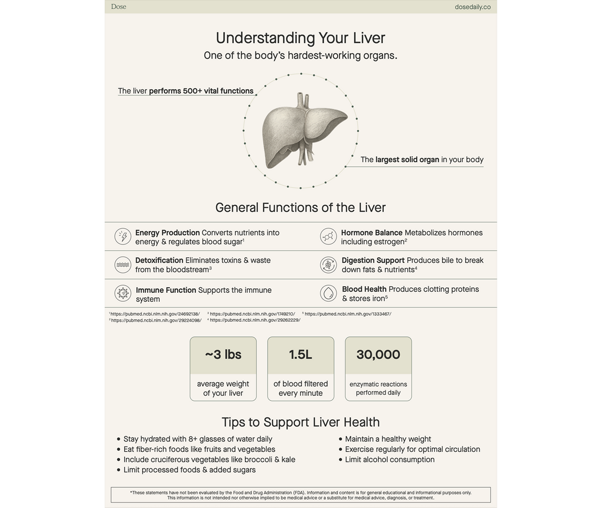 Liver Education Patient Handout - Wholesale
